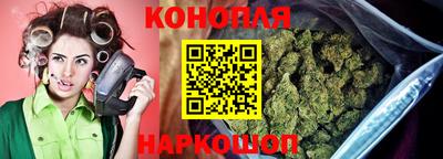 крисы Канаш