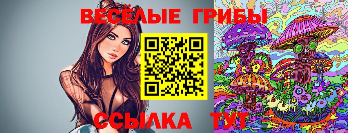 Псилоцибиновые грибы мицелий Благовещенск